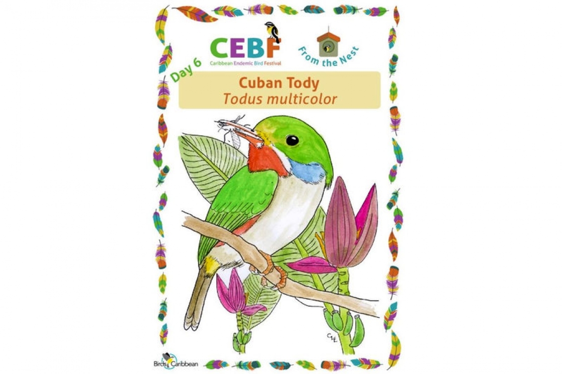 We hope you’re not missing out on this year’s Caribbean Endemic Bird Festival