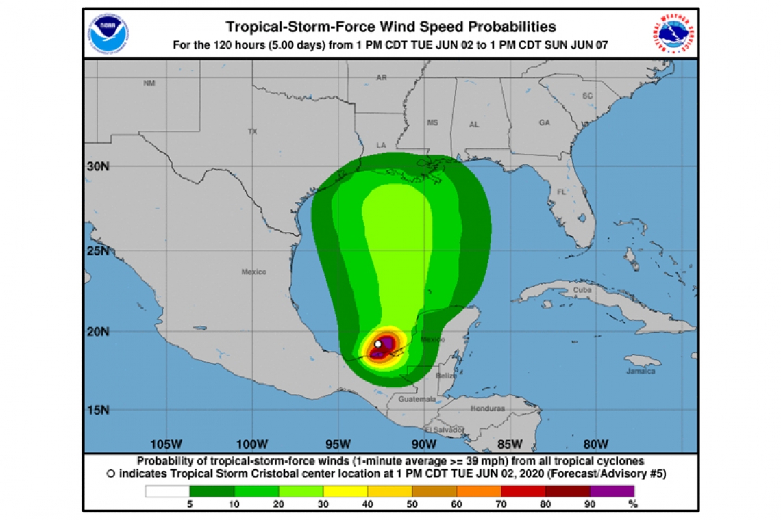 Tropical Storm Cristobal Advisory Number   5