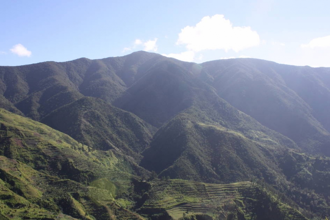 Crow mountains. Горы Джона Кроу. Голубые горы и горы Джона Кроу Ямайка. Голубые горы Ямайка. Горы Джона Кроу Ямайка.