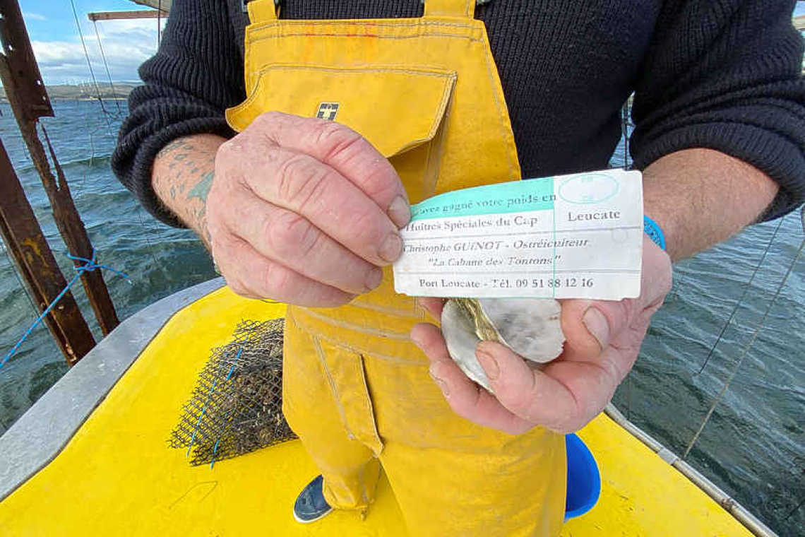 Note in shells stops French thieves: 'You've won your weight in oysters!'