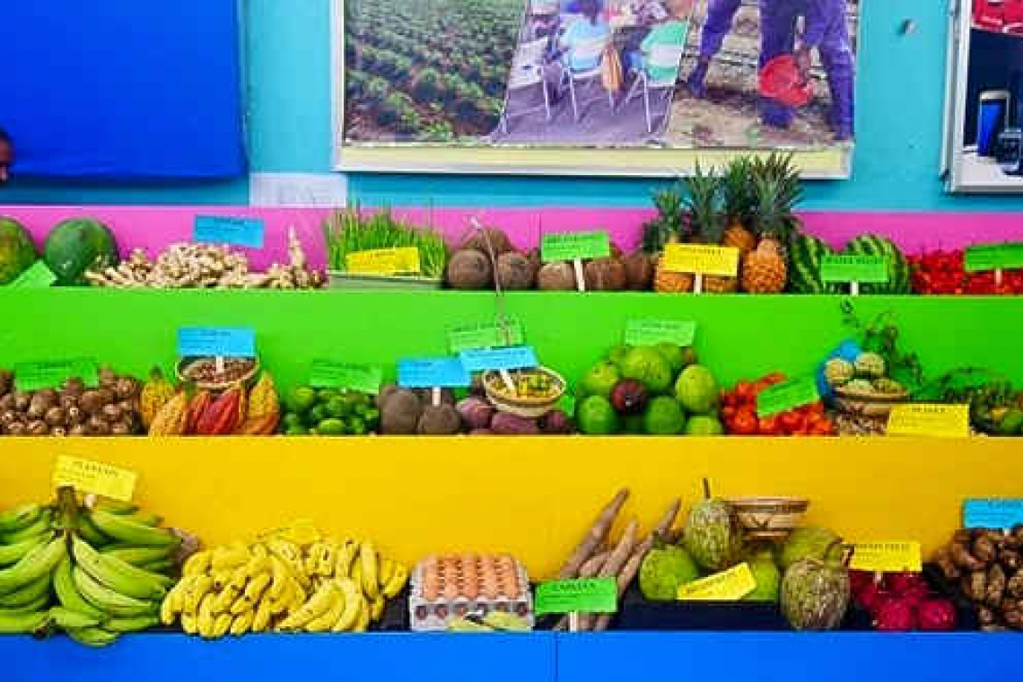 Agriculture in St. Vincent and  the Grenadines has recovered
