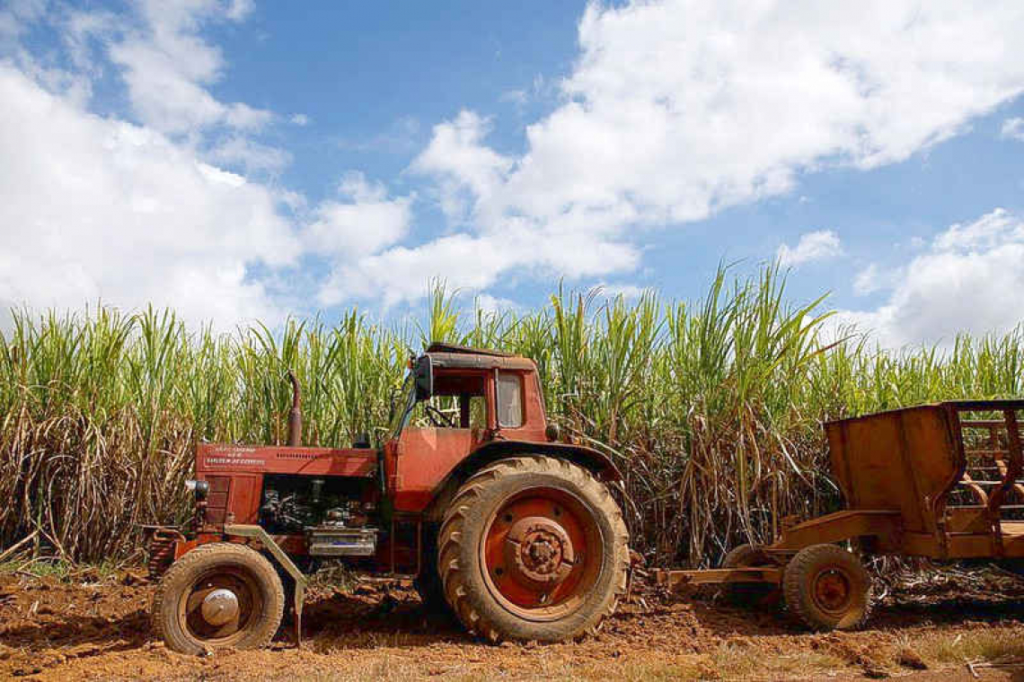 Cuba’s sugar industry headed toward  worst season ever as production falters