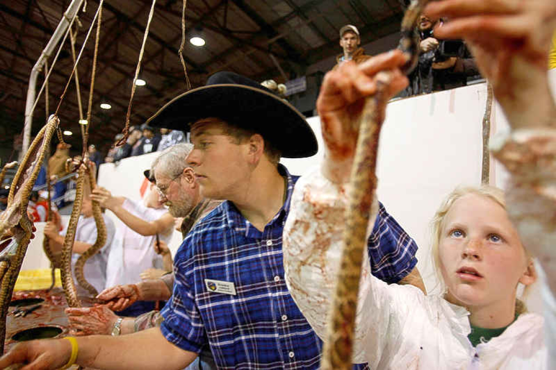 Rattlesnake Roundup: Texas tradition runs into criticism