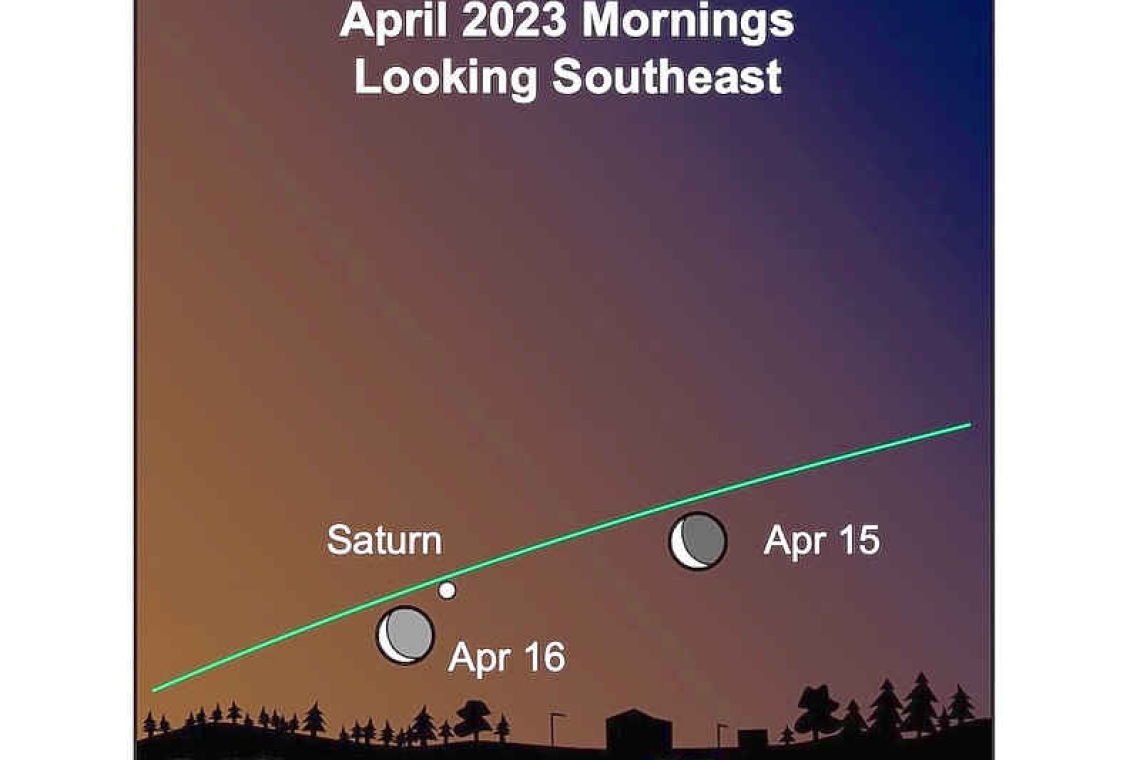 Keep your eyes on the southern constellations: Looking up at the Nightsky