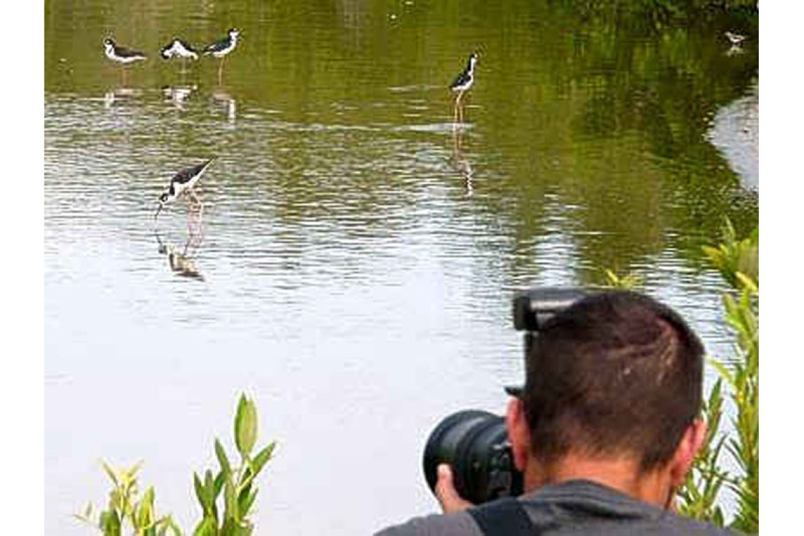 Bird guide training certifies  eleven participants on island