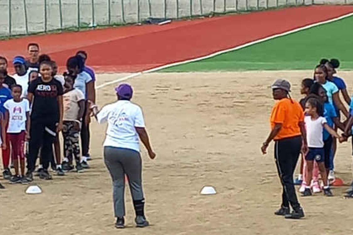 Softball pitching clinic well attended