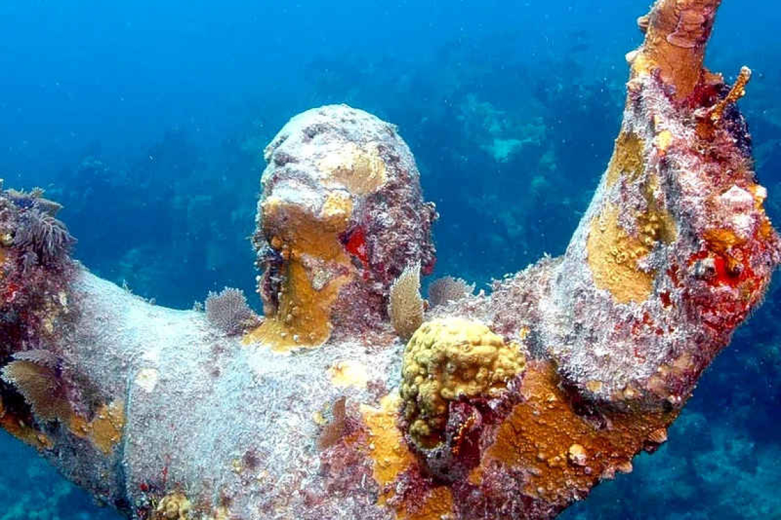 Underwater Sculpture Park – Aqua Mania Adventures