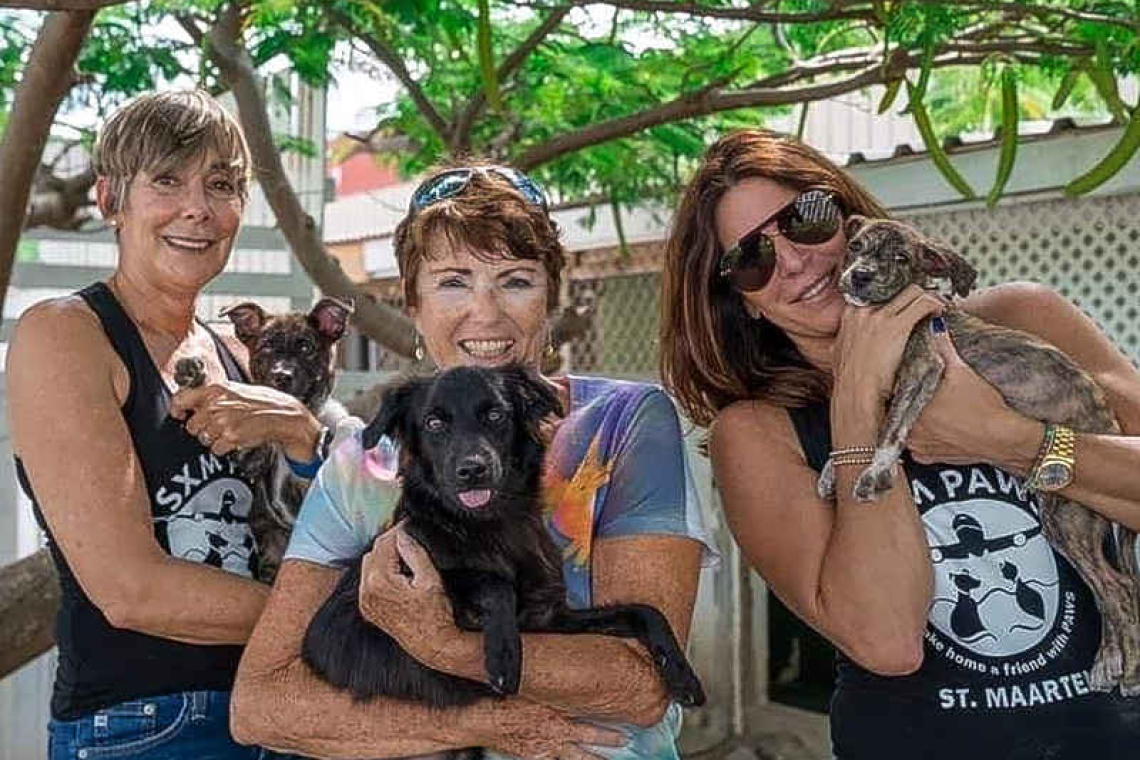 SXM PAWS says discover the joy of adopting or fostering 