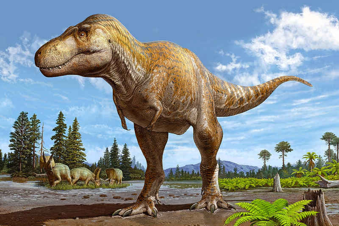 US scientists conclude New Mexico fossil is new Tyrannosaurus species 