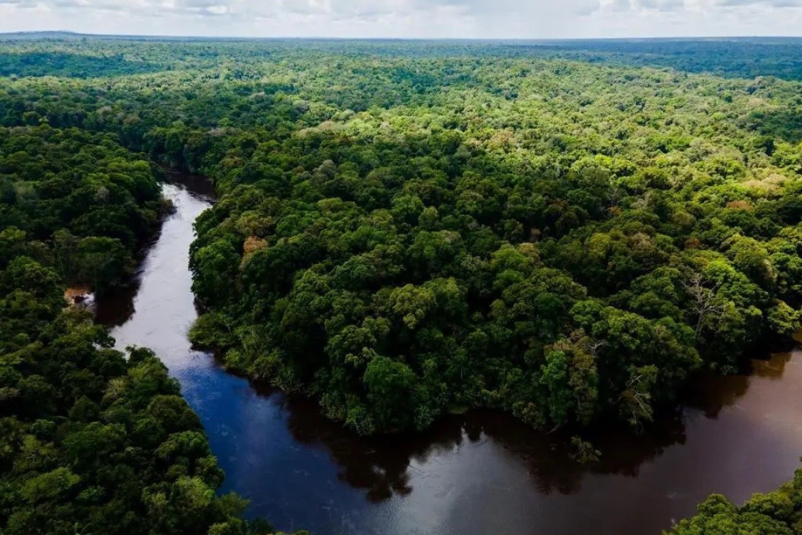 Guyana National Forest Certification  System attains international endorsement