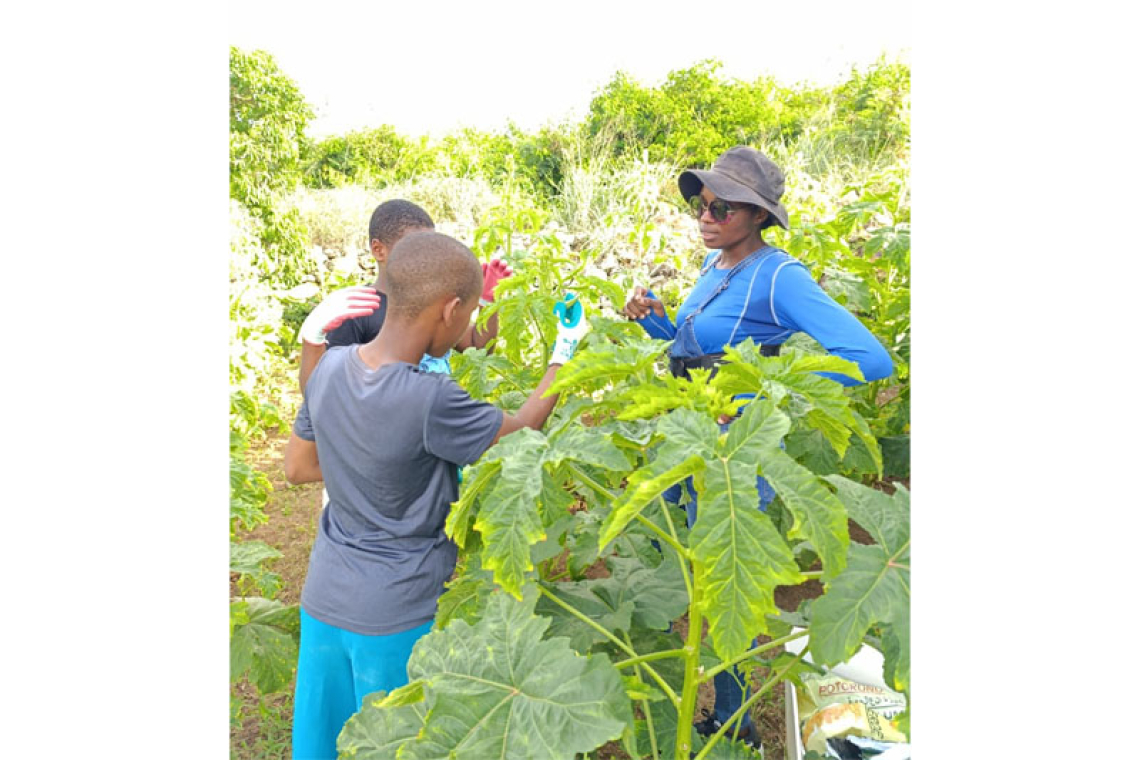 Foster care kids attend agriculture  workshop at Nature Nurtures Farm