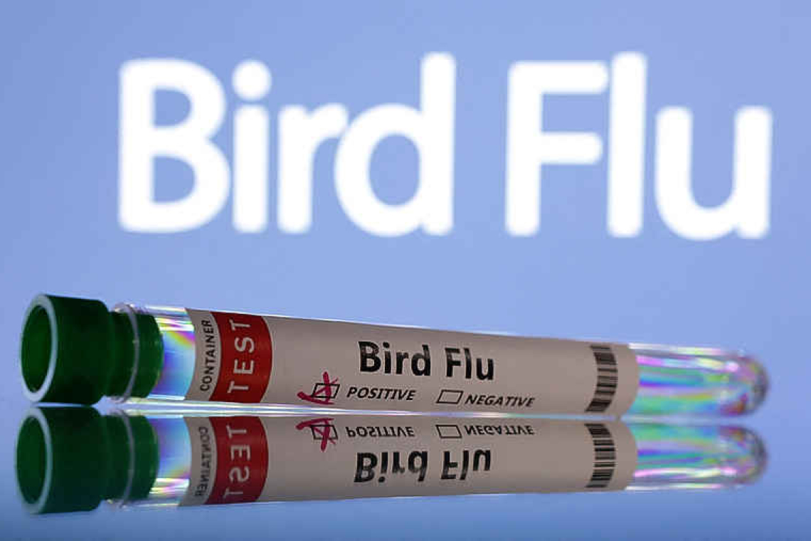 Bird flu spreads to seventh Australian poultry farm 