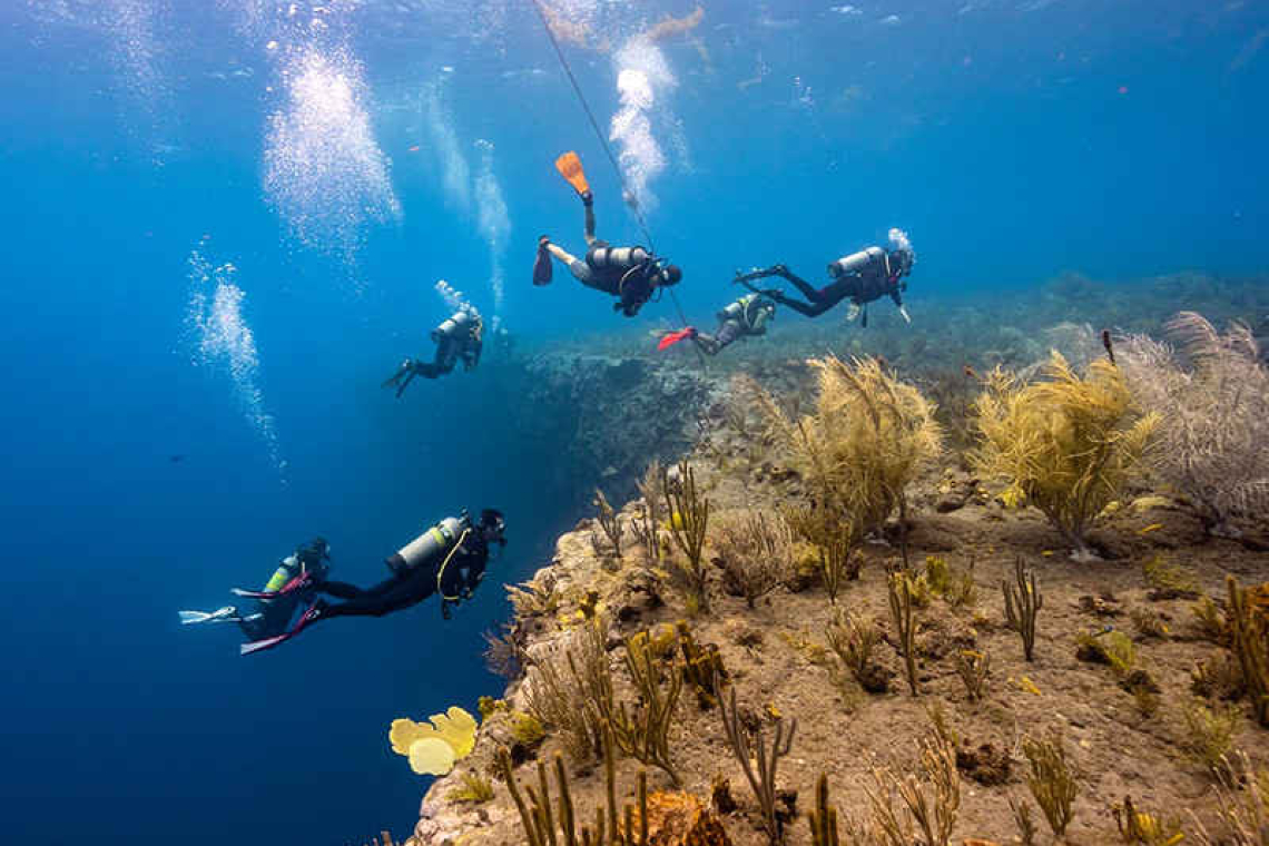 Experience Saba Snorkel and Dive Month