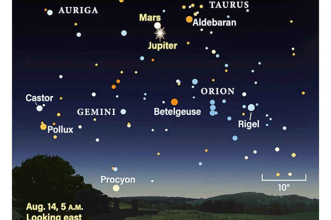  Looking for those illusive meteors: Looking up at the Night Sky