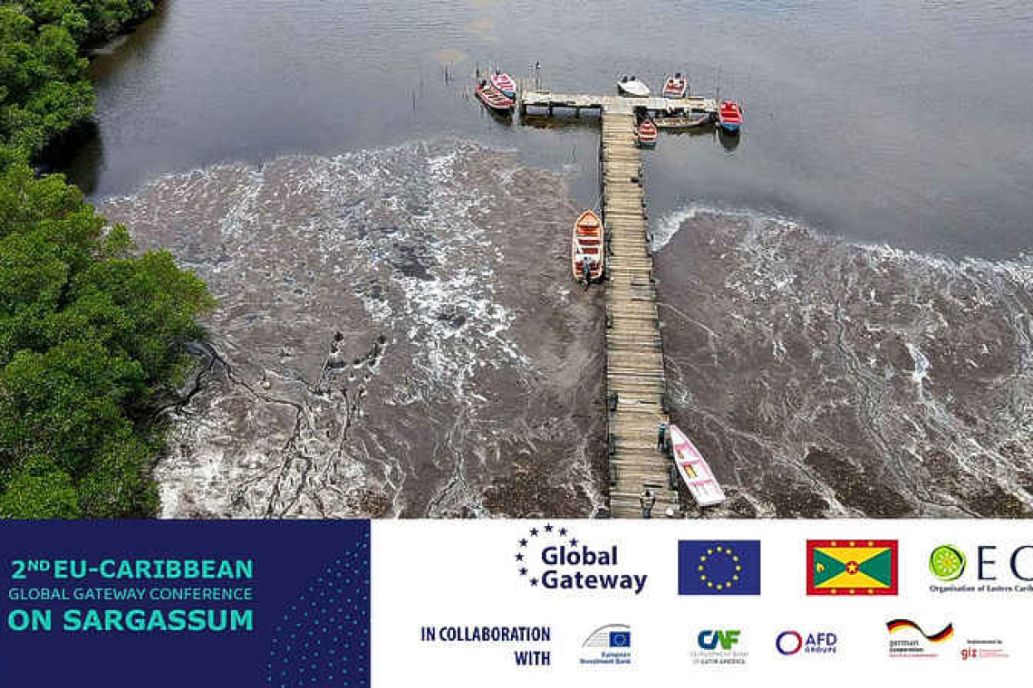 Grenada to host second EU-Caribbean  Global Gateway Conf. on Sargassum 