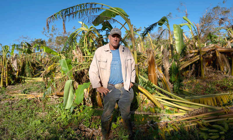       Agriculture reels as Hurricane Rafael  worsens food shortages across Cuba   