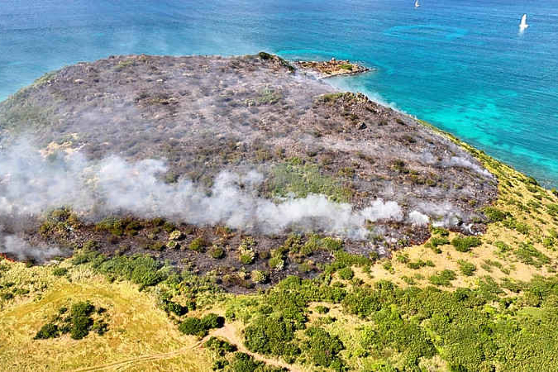 New Year’s Day sees brush fire  breaking out on Morne Smith 