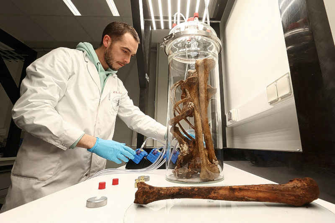 Scientist bottles smell of human  bones to help solve cold cases