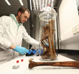 Scientist bottles smell of human  bones to help solve cold cases