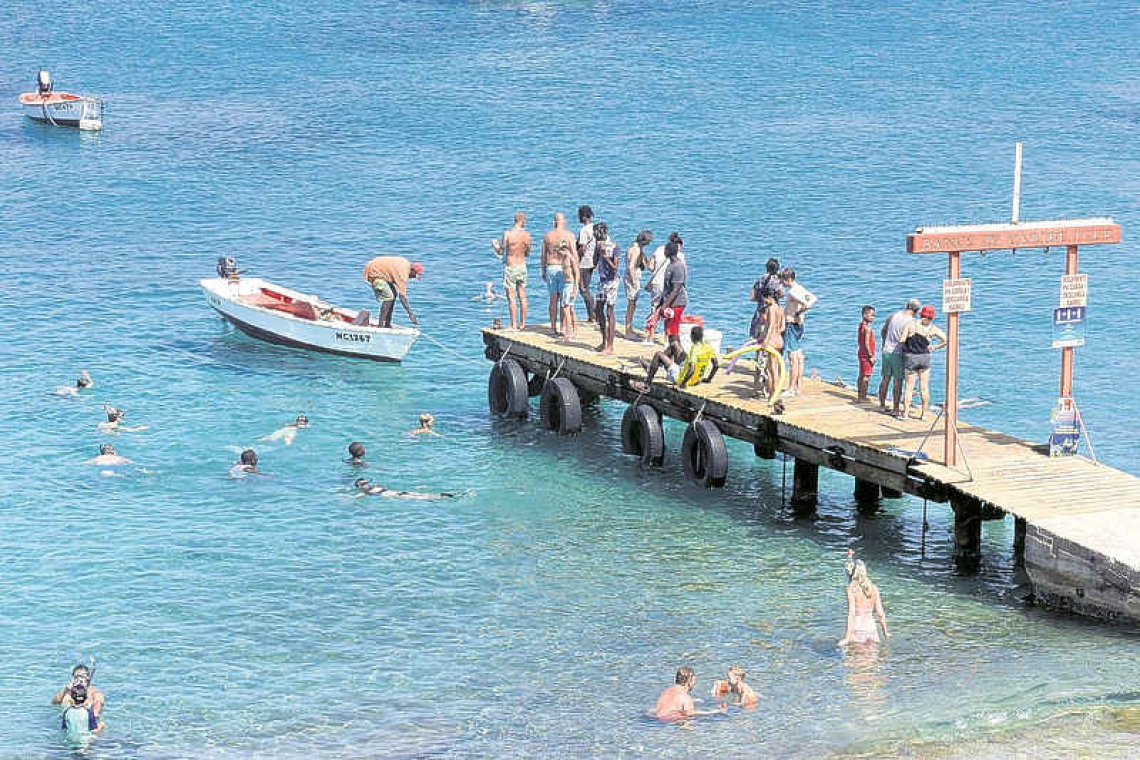 Concern raised over tourist  interactions with sea turtles