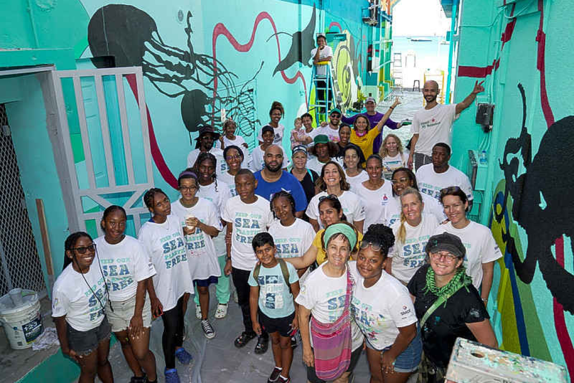    Alleyway Transformation project  engages over 100 volunteers